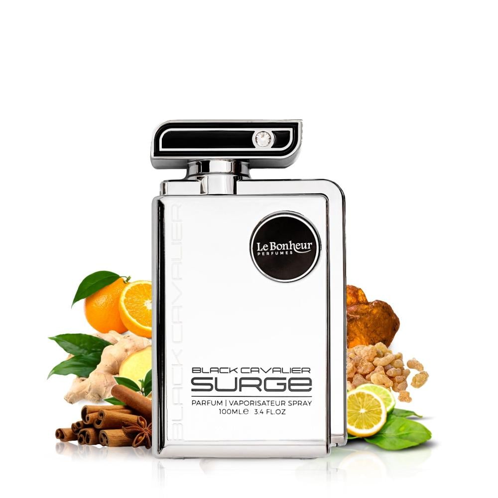 Black Cavalier Surge