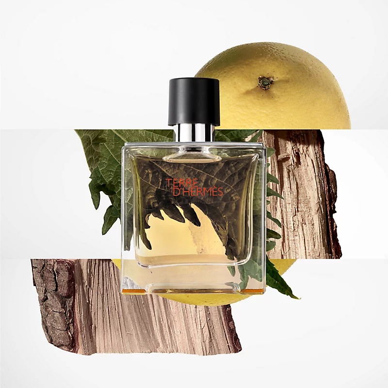 Terre D'hermes le parfum
