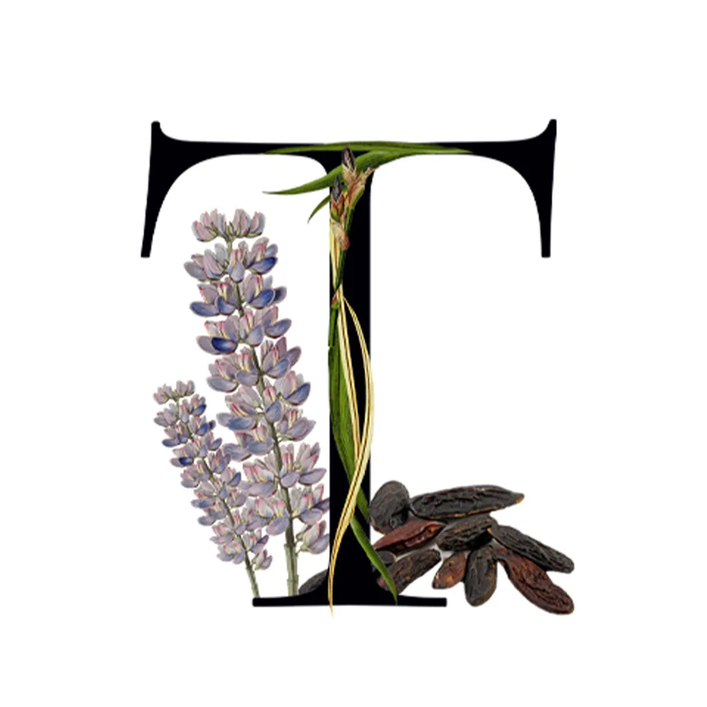 The Tragedy of Lord George 