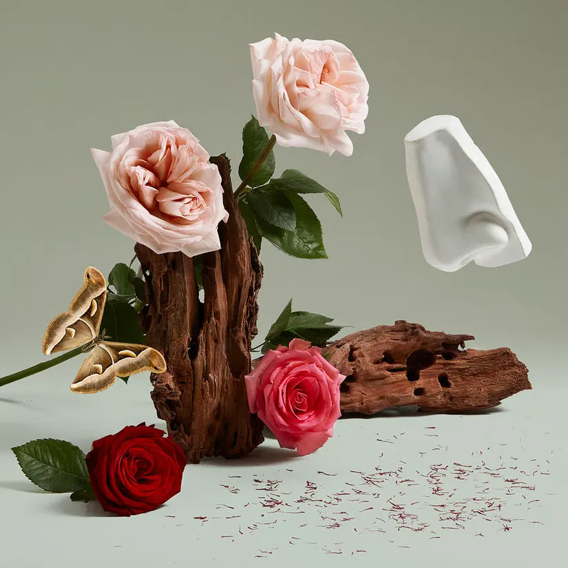 The Uncompromising Sohan